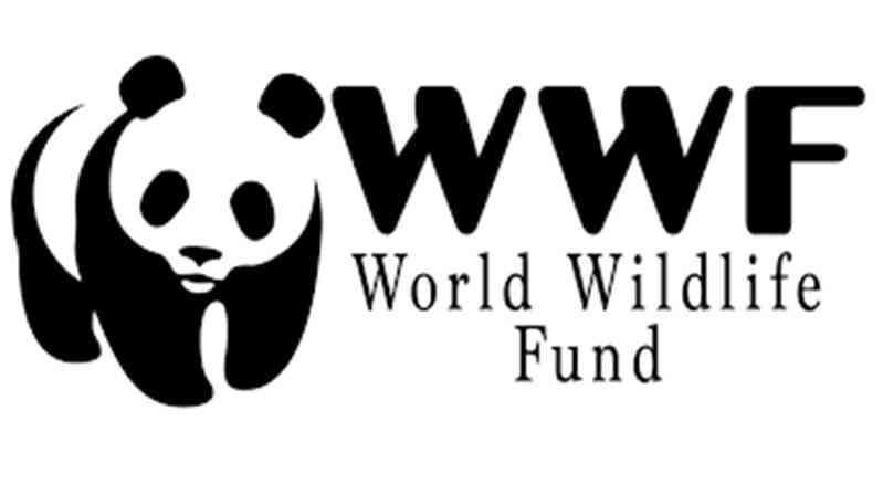 upXycled WWF Logo
